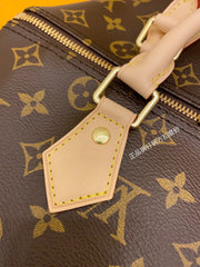 Lous Vuitton Speedy Bandoulière 25 - Monogram