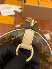 Lous Vuitton Speedy Bandoulière 25 - Monogram