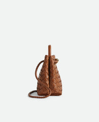 Bottega Veneta Small Andiamo Cognac