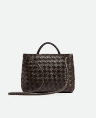 Bottega Veneta Small Andiamo Brown