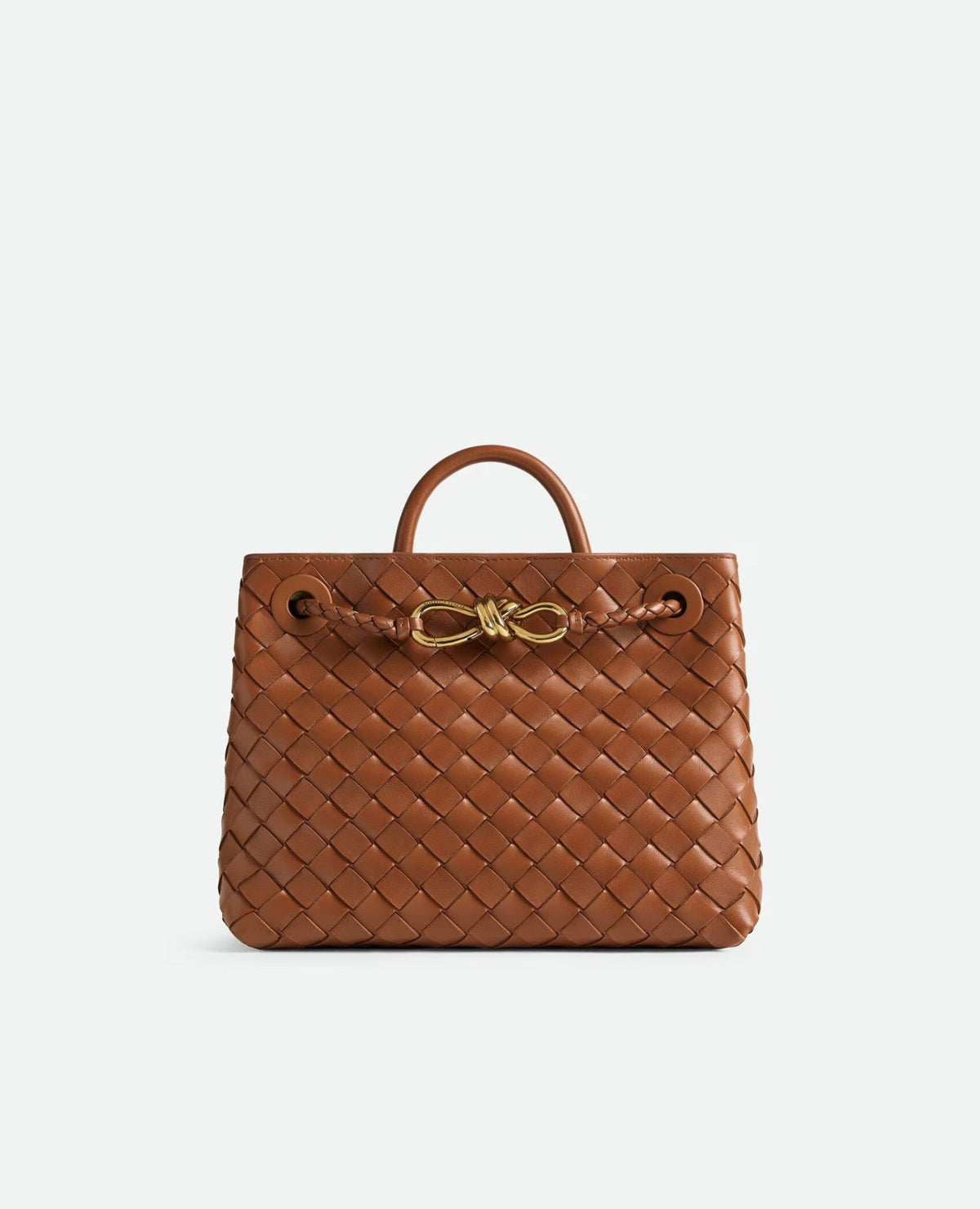 Bottega Veneta Small Andiamo Cognac