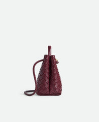 Bottega Veneta Small Andiamo
